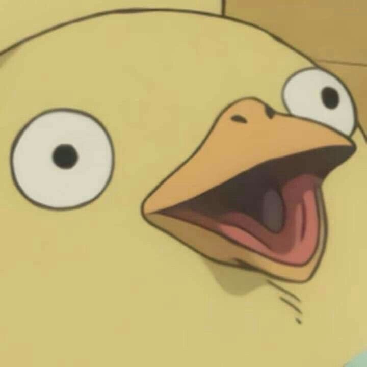 L, H.